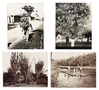 (PHOTOGRAPHY -- JAMAICA.) A. Duperly and Son. Group of 10 late-nineteenth-century silver prints depicting landscapes